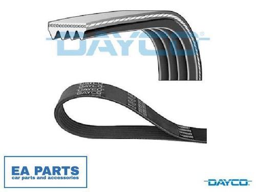 Ribbed belts for nissan - v-ribbed,