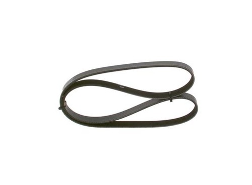 Ribbed belts for renault - for,