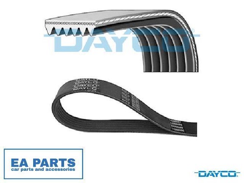 Ribbed belts for - belts, nissan